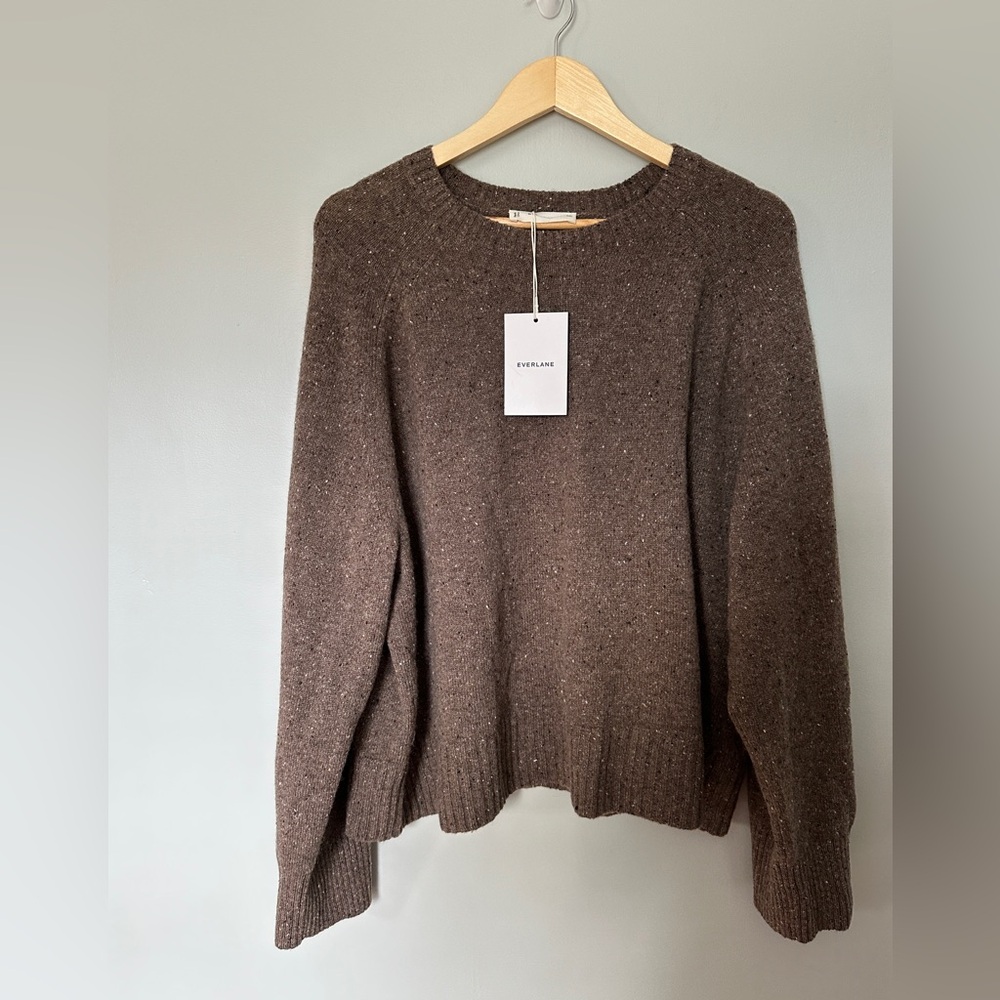 NWT Everlane Boxy Crew Sweater in Cashmere Taupe Brown Donegal size XXL Womens